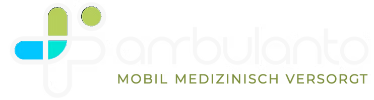 Ambulanto | Brands Trusted by Emay Creative
