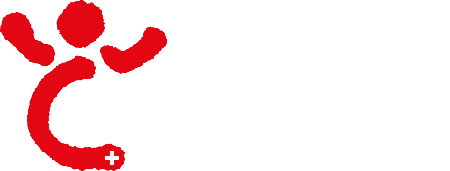 Cerebral | Brands Trusted by Emay Creative